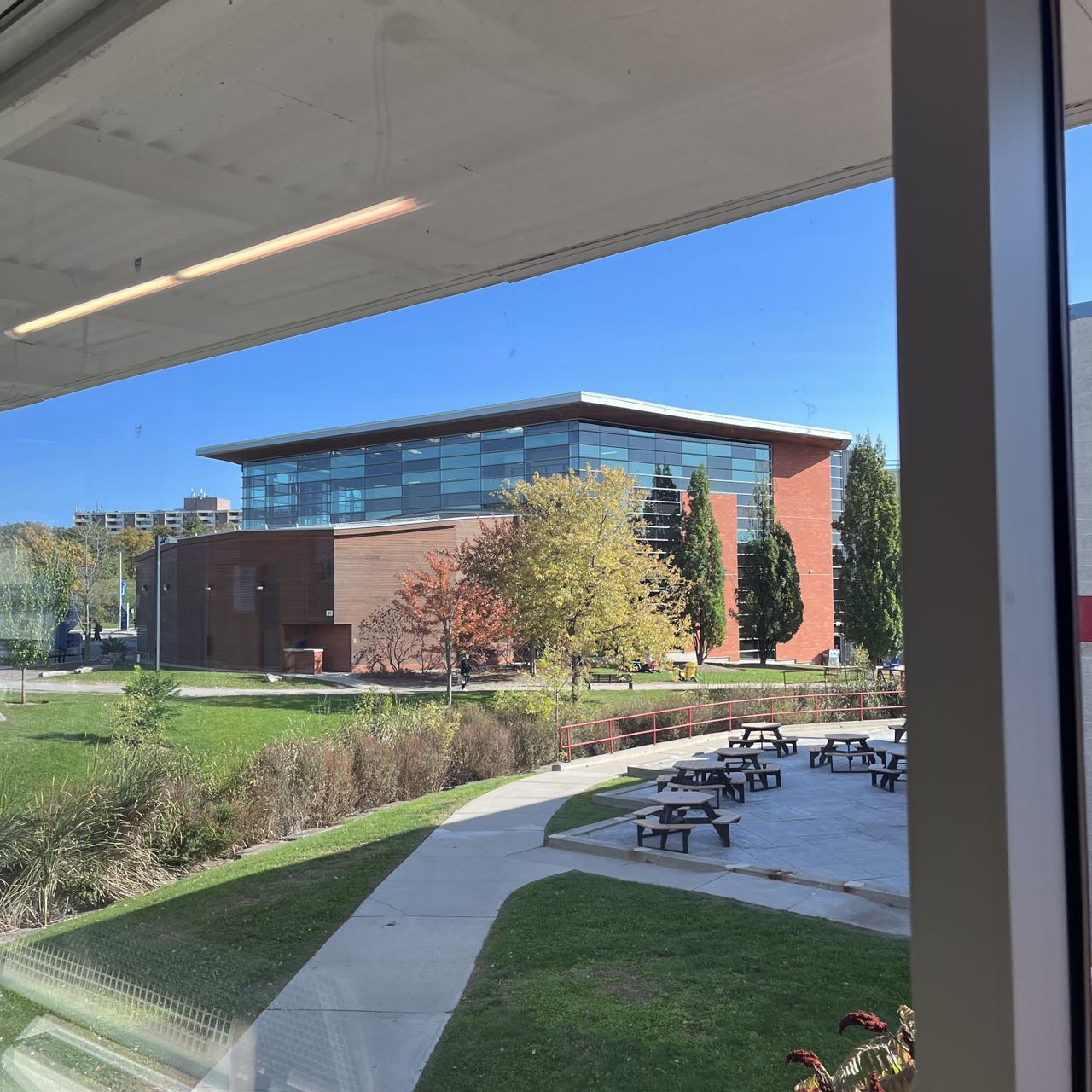 Outside the window in the corridor of the J Building