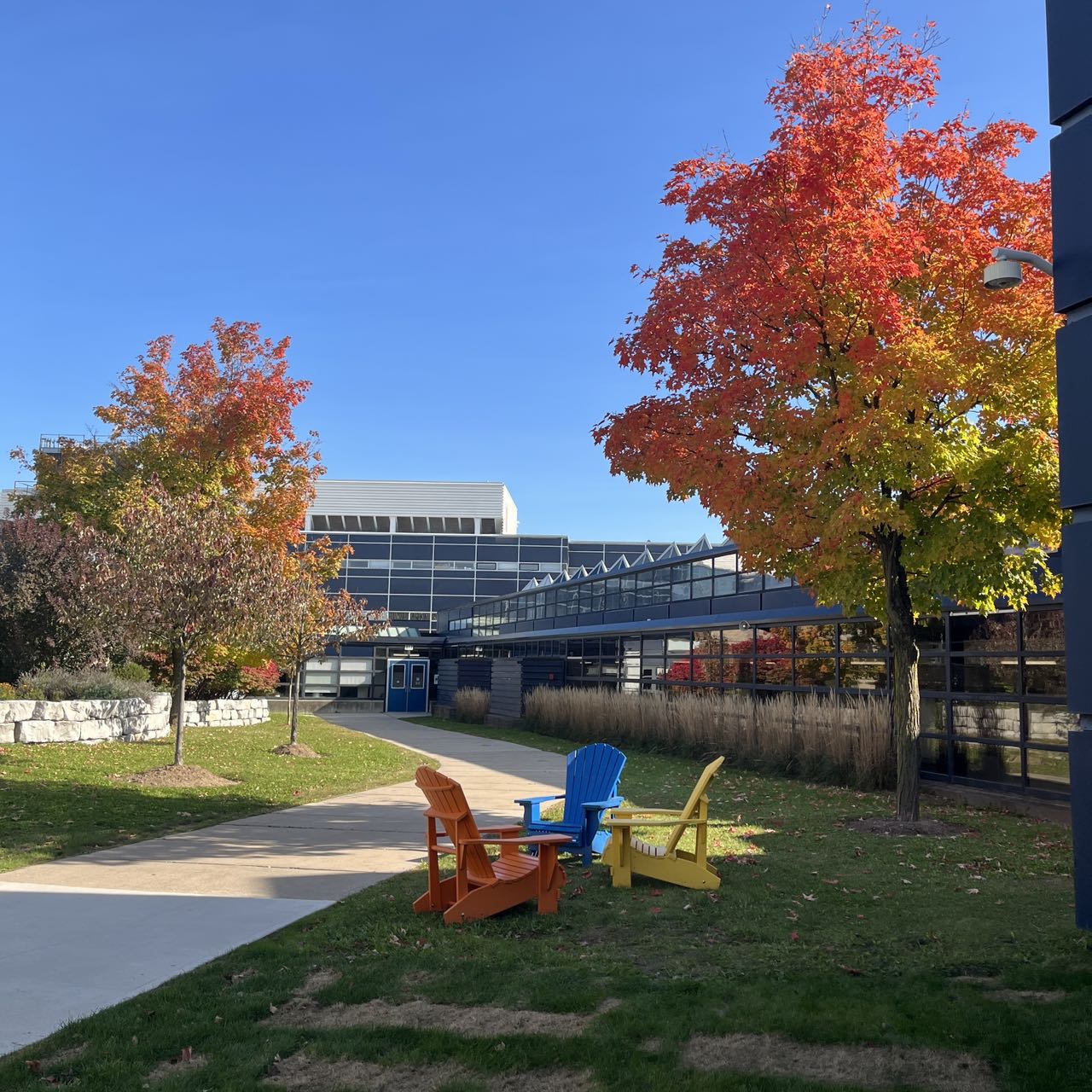 Sheridan School Outdoor Viewing