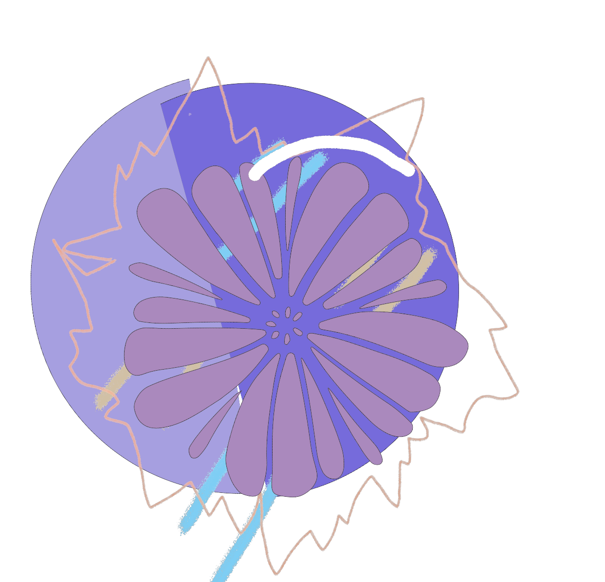 put a description here or you will lose grades