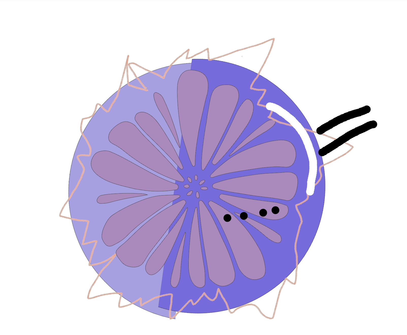 put a description here or you will lose grades